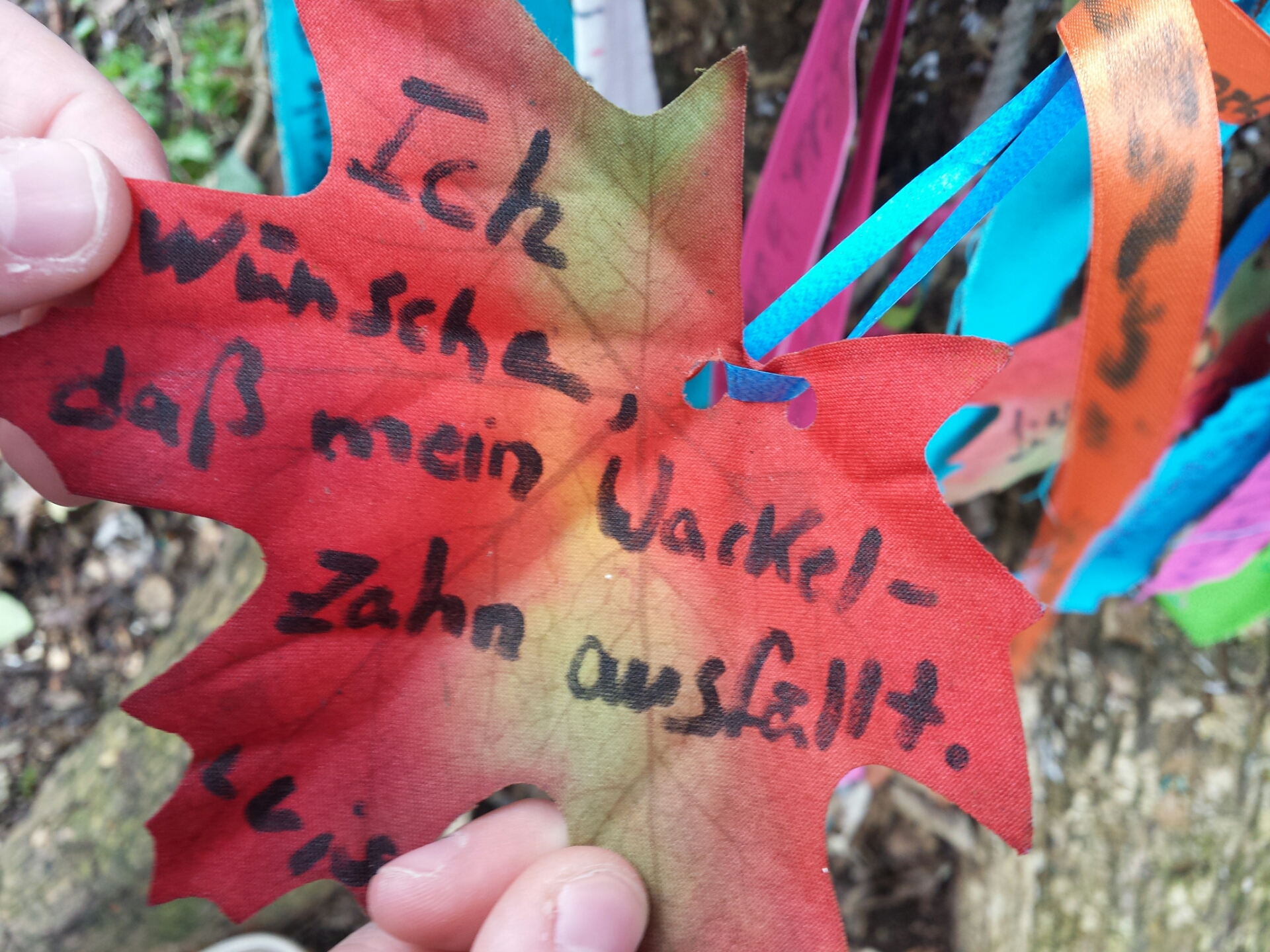 Wackelzahn-Wunsch am Wunschbaum